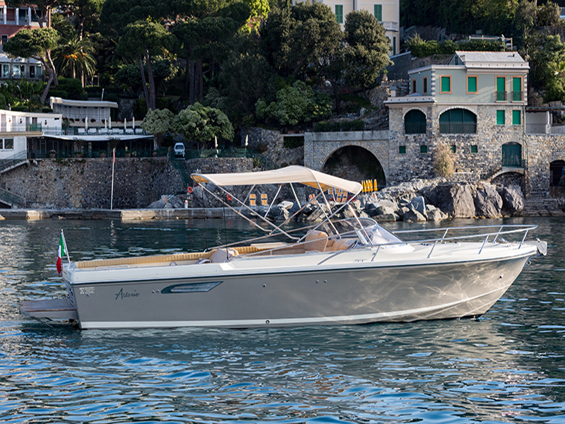 Asterie 315 'Avatar'