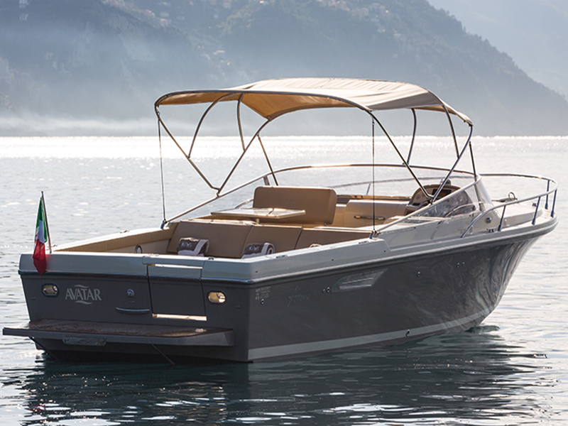 Asterie 315 'Avatar'
