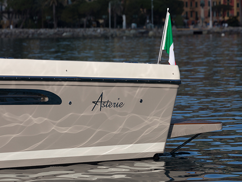 Asterie 315 'Avatar'