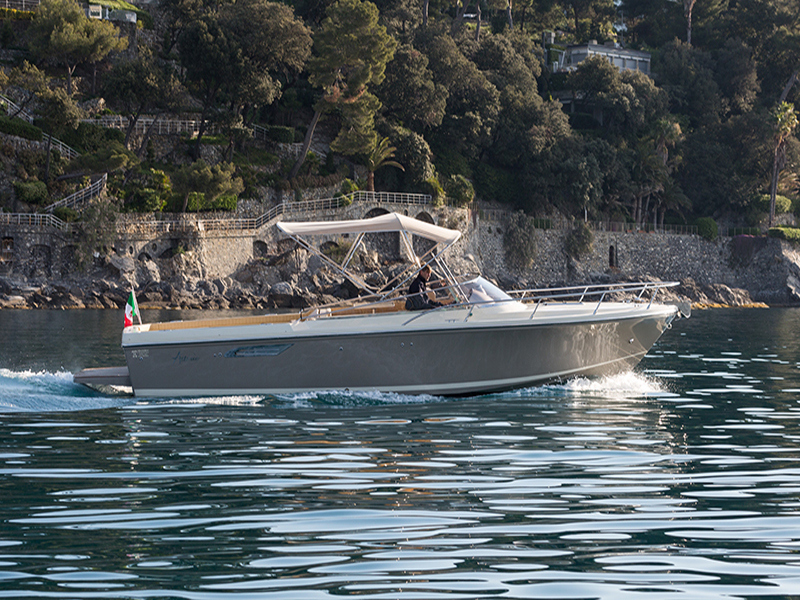 Asterie 315 'Avatar'