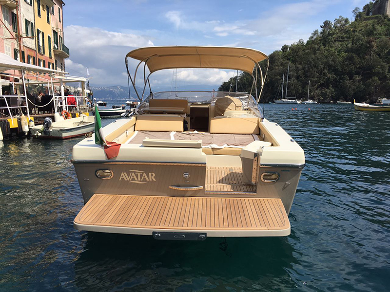 Asterie 315 'Avatar'