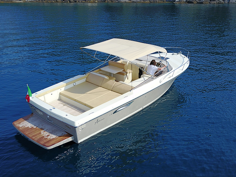 Asterie 315 'Avatar'