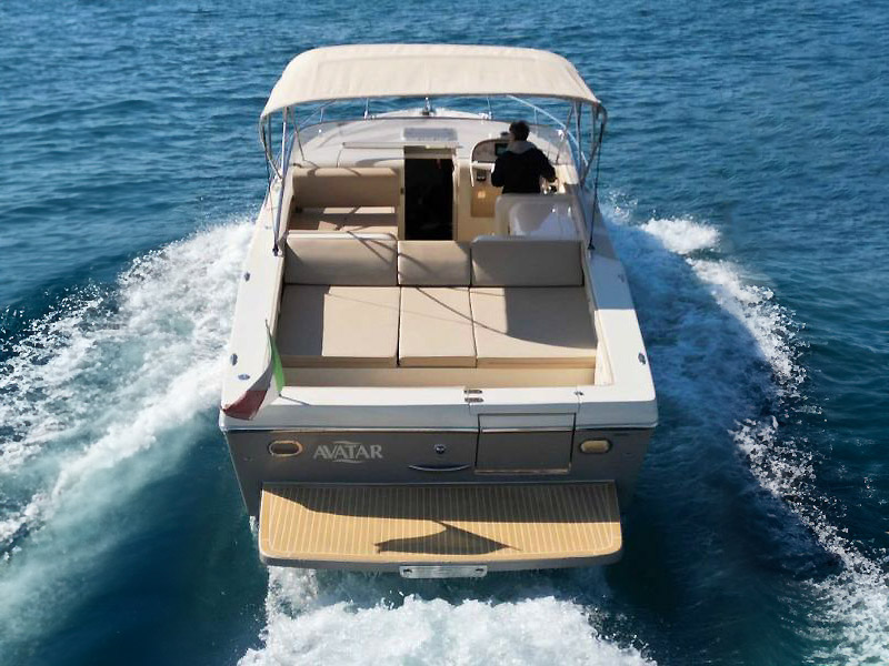 Asterie 315 'Avatar'