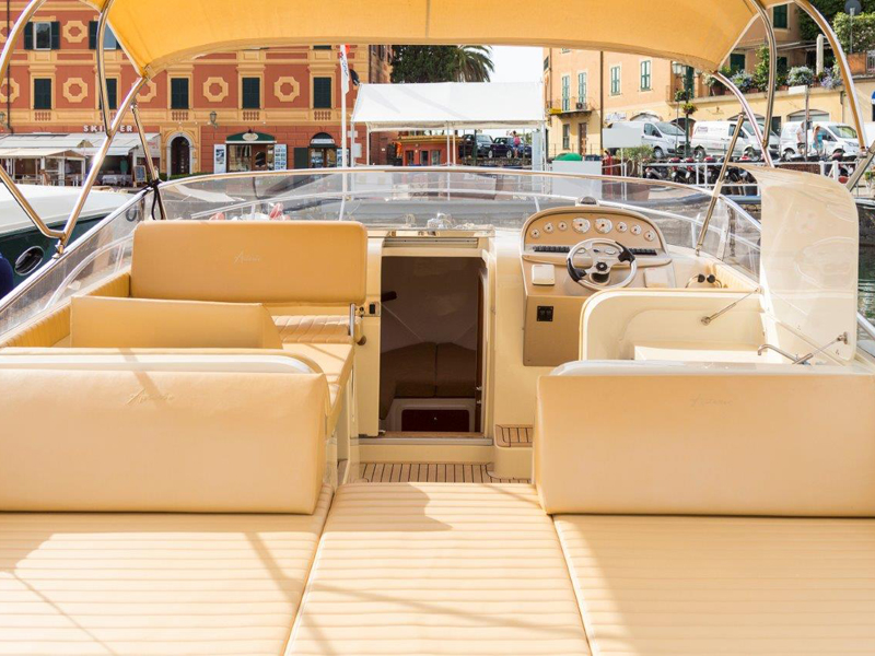 Asterie 315 'Avatar'