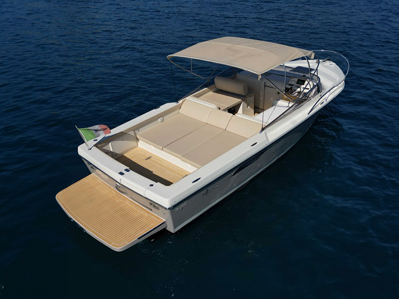 Asterie 315 'Avatar'