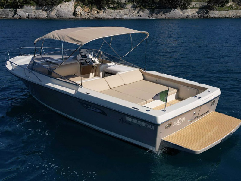 Asterie 315 'Avatar'
