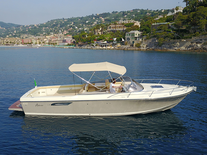 Asterie 315 'Avatar'