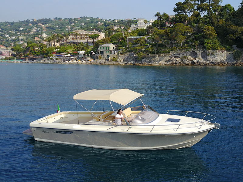 Asterie 315 'Avatar'