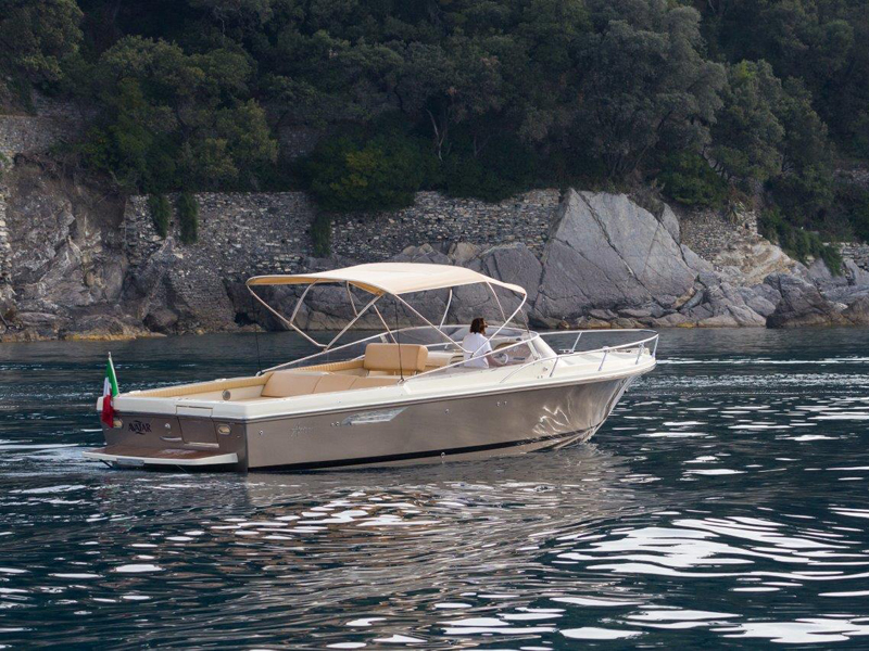 Asterie 315 'Avatar'