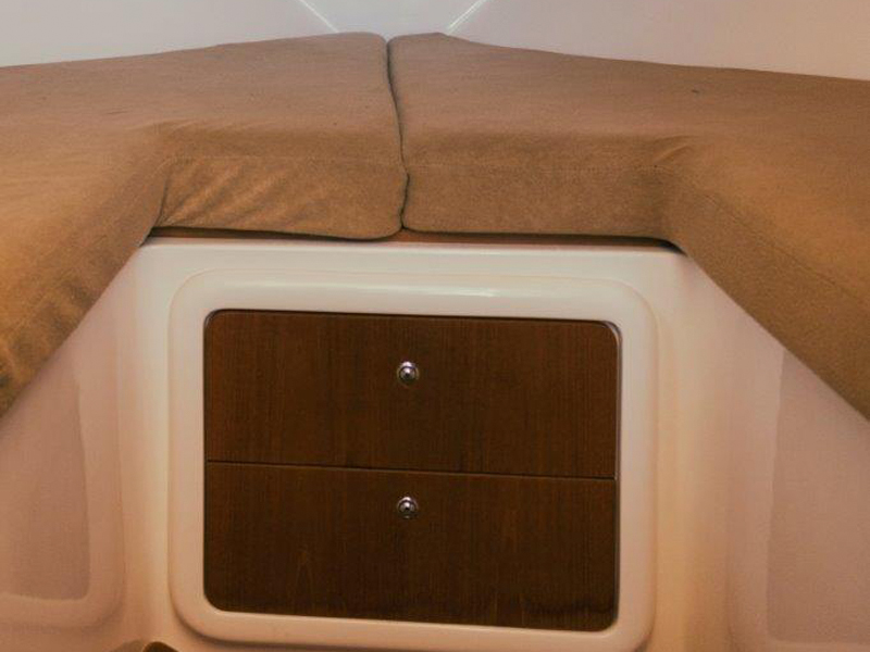 Asterie 315 'Avatar'